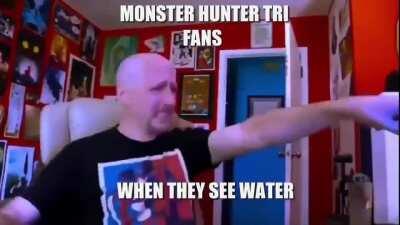 Types of monster hunter fans (by me)