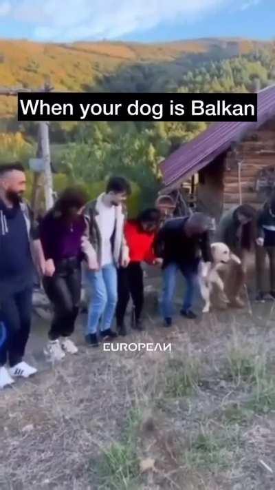 this made me 😁 genuinely 