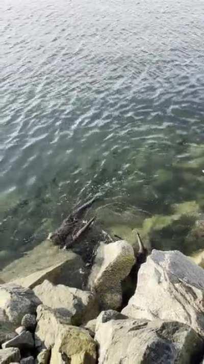 Family evening stroll 💚