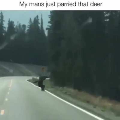 My man's just parried that deer
