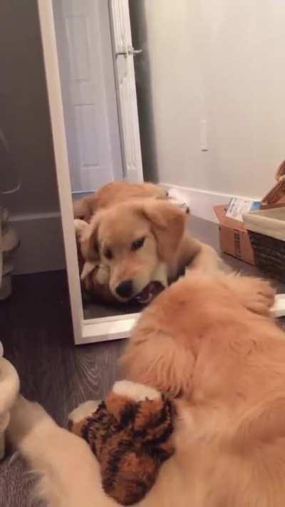 When you’re trying to get yourself motivated 😂