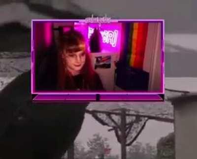 Era humillarlo no traumarlo nahhh