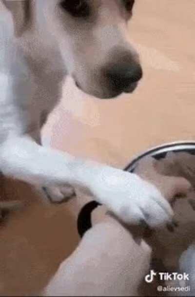 Please don't do that...