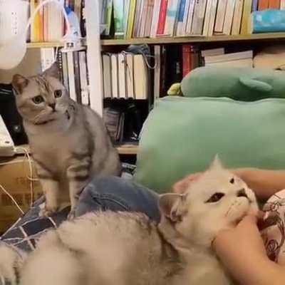 That look speaks volumes