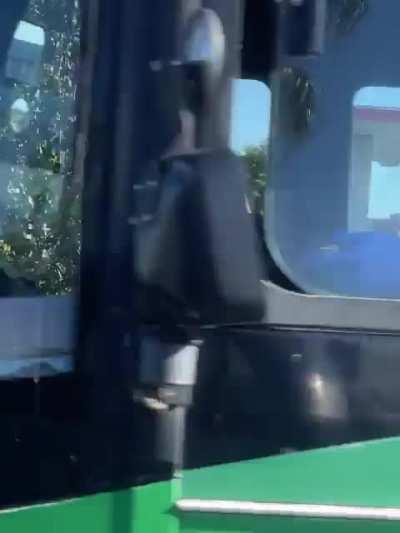 This tree giving off hella good vibes my dude 🤩😱🤔