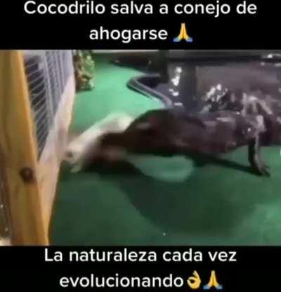 Linda atitude😭😭