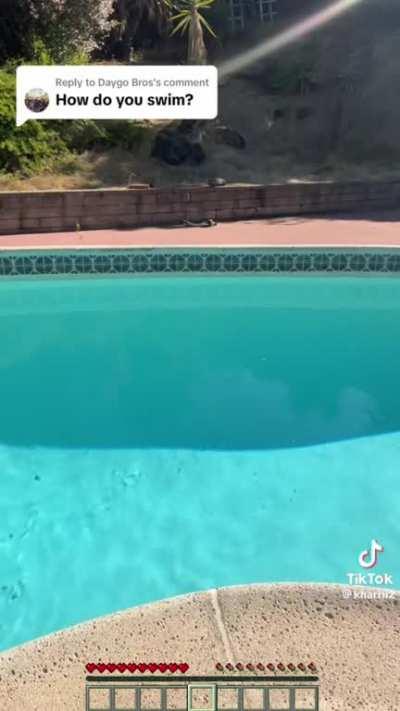 Biblically accurate Minecraft