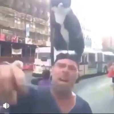 The fuck happened to this sub? Dead?