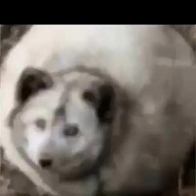 I’m 15 and this is yeet