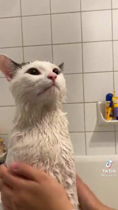 RedditMint - Video #9022