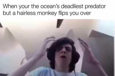 I’m 15 and this is yeet