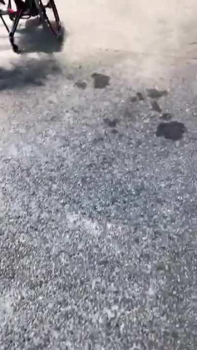 Nobody disses on dio's Aladin shoes