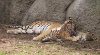 Giving mom a kiss before bedtime 🥺
