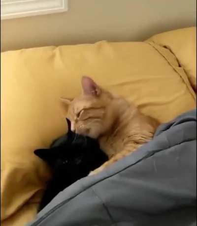 and what you have going on here!