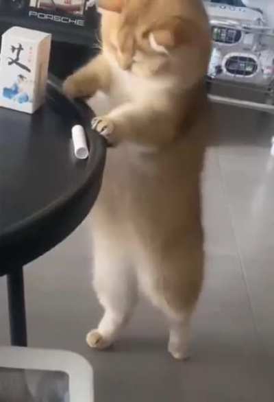 He doesn't like the new table.