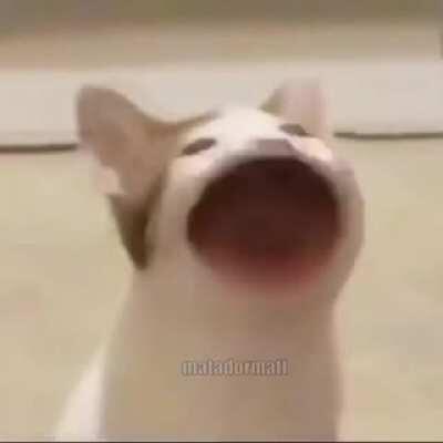 When you step on a Lego