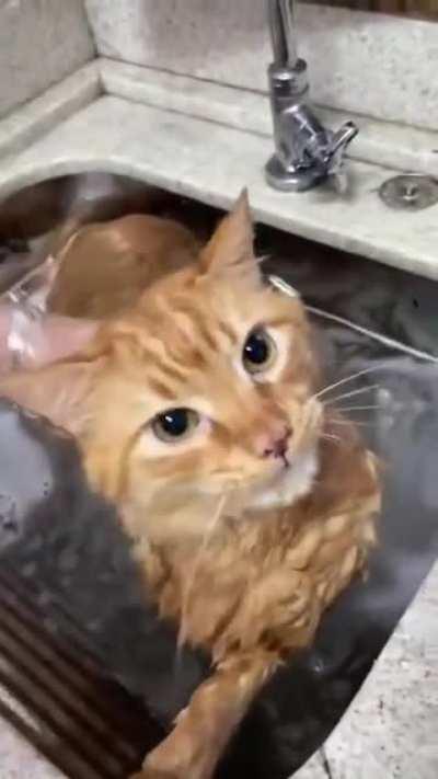 Bath time Baby (Sound On)