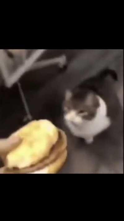 You are not you when you are hungry