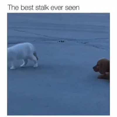 I'm not following you, promise