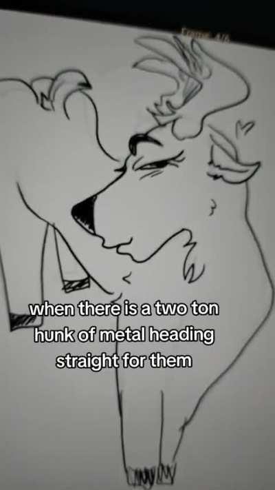 Furry_irl