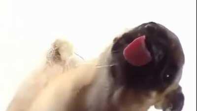 This was quite popular on a recent zoom