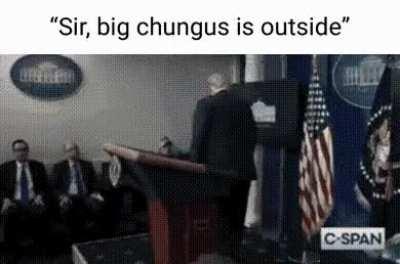 BigChungusReligion - Video #1511