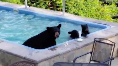 when you're out of town and....