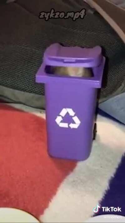 La muerte del chat de Illojuan