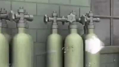 this is the stupidest fucking thing i have ever done