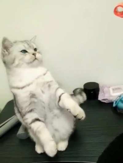 “It’s just a prank, bro!” I am tramewtized