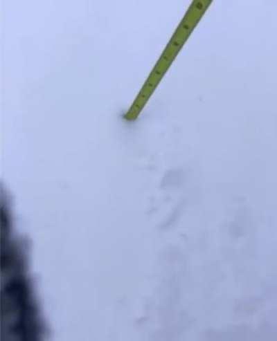 Checking snow depth? Not on my shift!