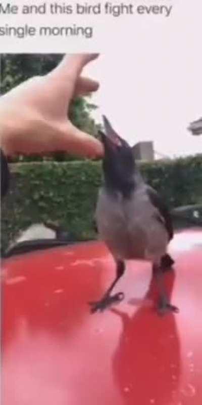 Probably gave him an expired coupon