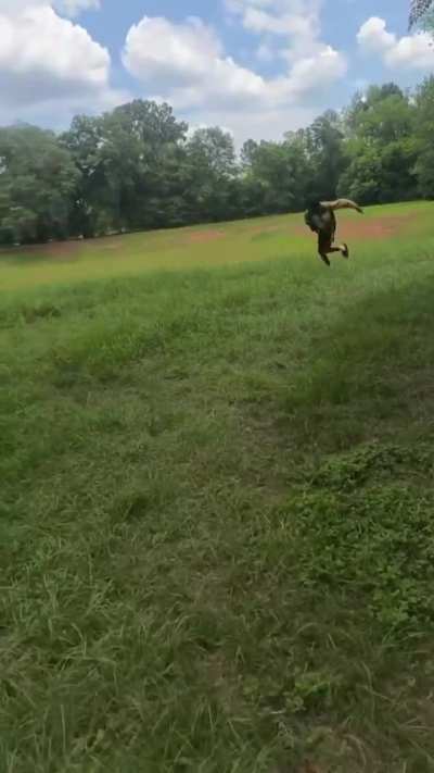 here’s a compilation of the dumbass yesterday that dry humps cars