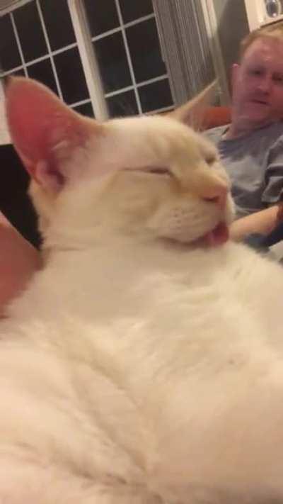 Wiggly blep