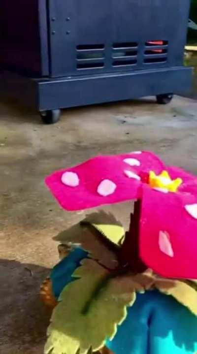 Who's that Pokemon? Found on /r/aww