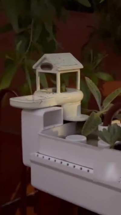 A guy 3D prints a house for a frog