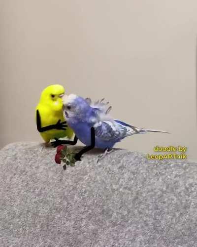 Love can make anyone dizzy