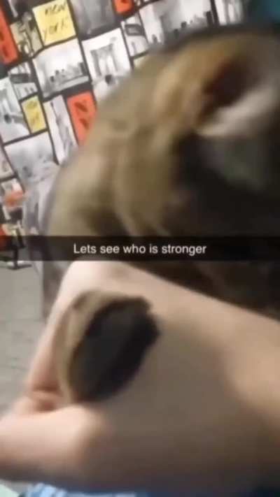 wunkus is the strongest