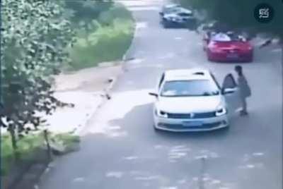Woman gets out of her car during a tiger safari