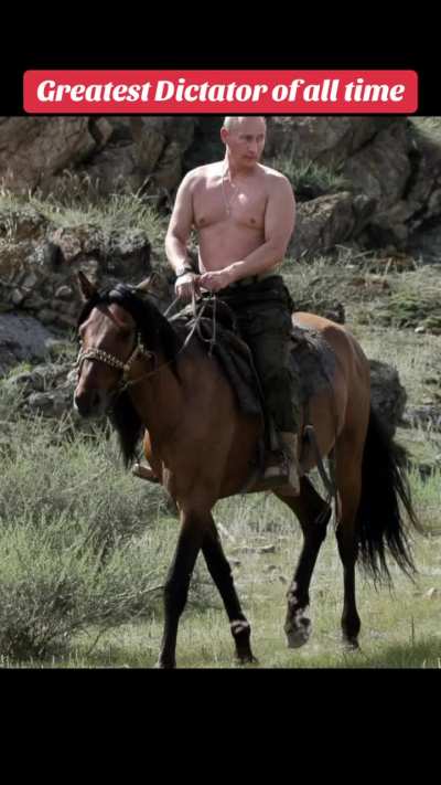 Why did TikTok take down my Putin edits