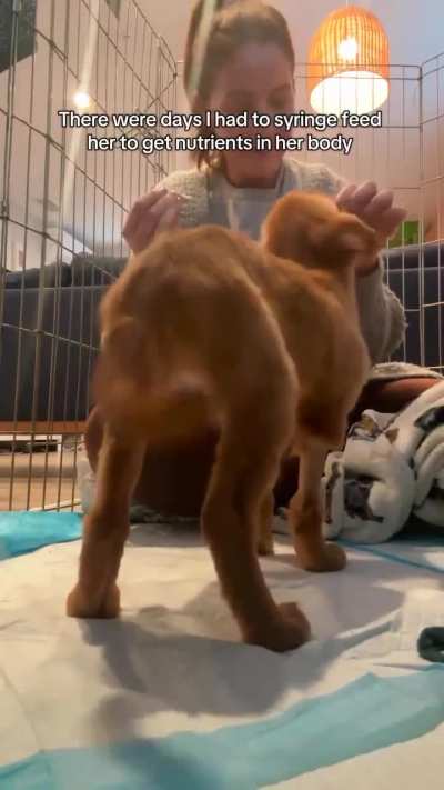 Love can heal anyone