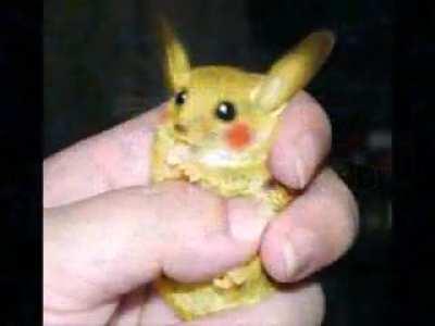 muój chomink :D daje mu jabuszka do jedzenaie