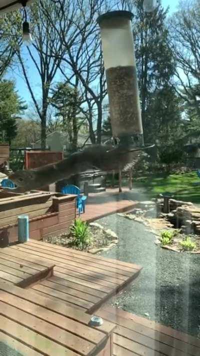 Laughed way too hard at this!