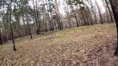 International legion fighters in heavy firefight on the outskirts of bakhmut