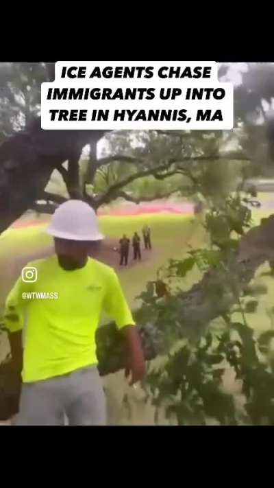 ICE agents chase workers up a tree in Massachusetts