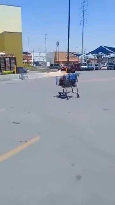 No cellphone in sight, just people living in the moment