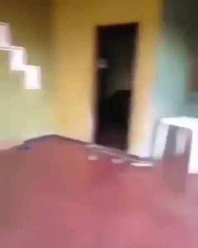 That's why we miss Tv globinho: 