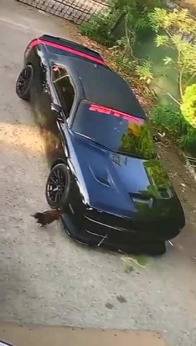 WCGW after waxing your car to a mirror finish