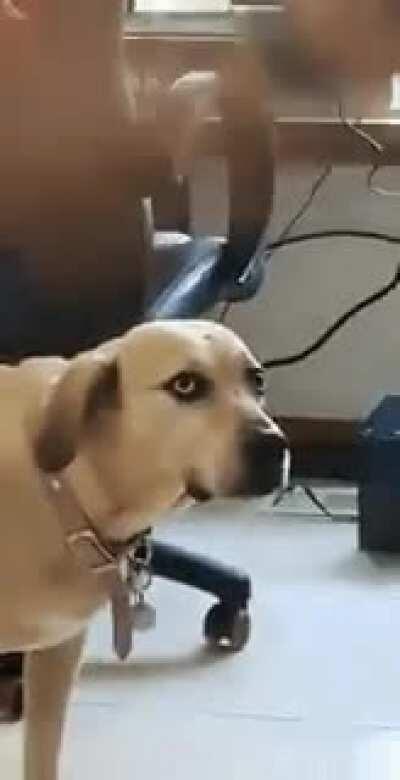 Human has finally snapped