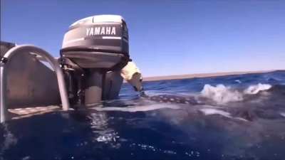 They’re both so curious to meet each other!